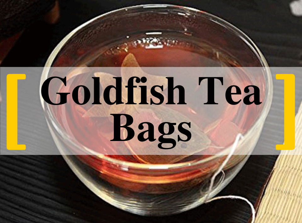 Goldfish Tea Bags Streetwise Publications Ltd.